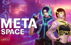 Meta Space