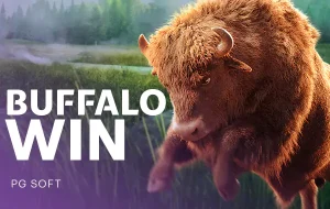 Buffalo Win