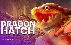 Dragon Hatch