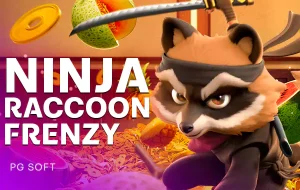 Ninja Raccoon Frenzy